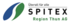 SPITEX Region Thun AG